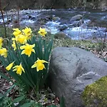 בית נופש Relax Totale Nel Bosco Lucca *