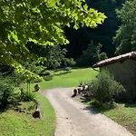 Relax Totale Nel Bosco Lucca