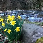 Relax Totale Nel Bosco Lucca