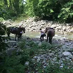 בית נופש Relax Totale Nel Bosco Lucca