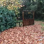 Relax Totale Nel Bosco Lucca * Ghivizzano