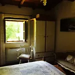 Relax Totale Nel Bosco Lucca