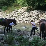 Relax Totale Nel Bosco Lucca בית נופש *