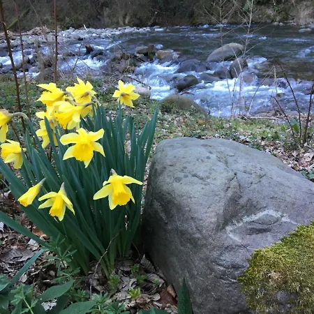 Holiday home Relax Totale Nel Bosco Lucca *