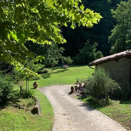 Relax Totale Nel Bosco Lucca