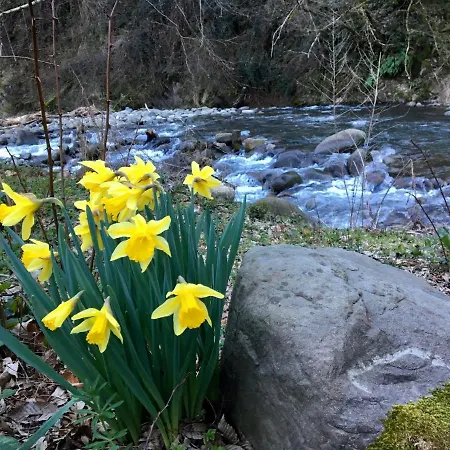 Relax Totale Nel Bosco Lucca