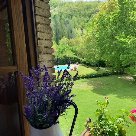 Holiday home Relax Totale Nel Bosco Lucca