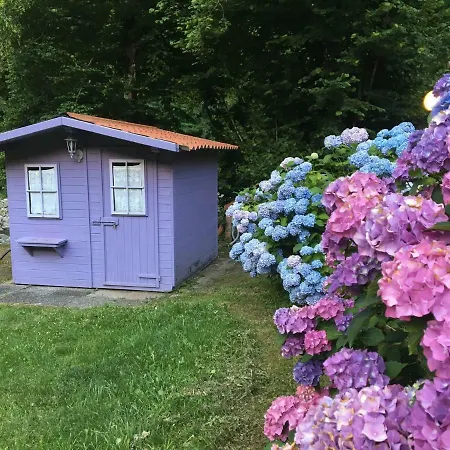 Relax Totale Nel Bosco Lucca Ghivizzano