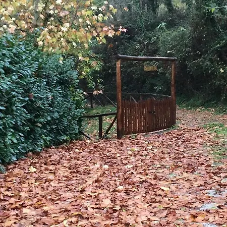Relax Totale Nel Bosco Lucca * Ghivizzano