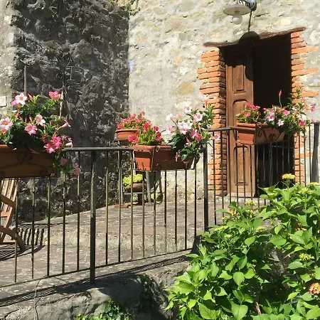 Relax Totale Nel Bosco Lucca Ghivizzano