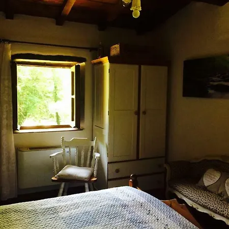 Relax Totale Nel Bosco Lucca