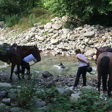 Relax Totale Nel Bosco Lucca Holiday home *