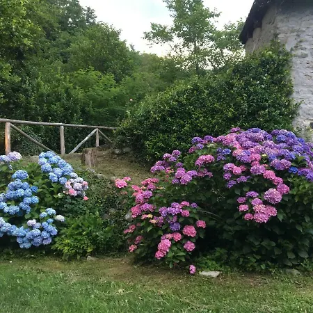 Relax Totale Nel Bosco Lucca Holiday home *