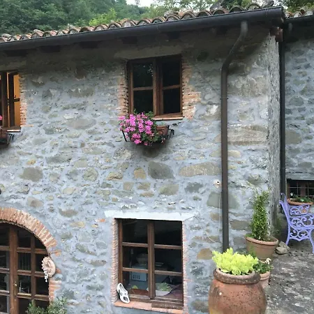 Relax Totale Nel Bosco Lucca Holiday home
