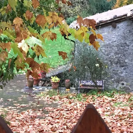 Relax Totale Nel Bosco Lucca Hébergement de vacances